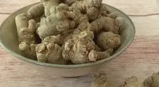 Người mắc bệnh ung thư vú có thể uống tam thất không?