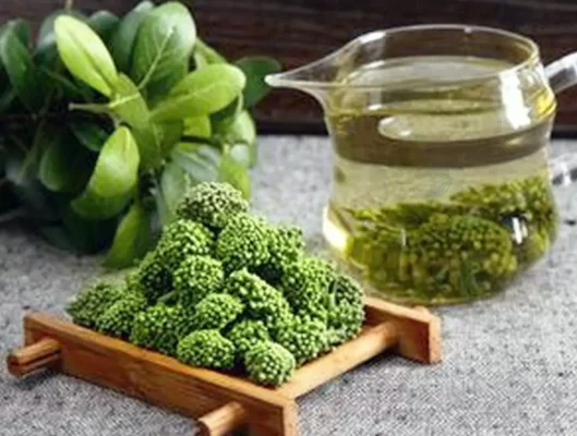 Người mất ngủ có nên uống hoa tam thất?