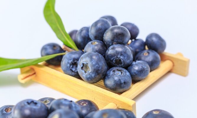 Quả viết quất: Thực phẩm ngừa bệnh và tăng cường sức khỏe