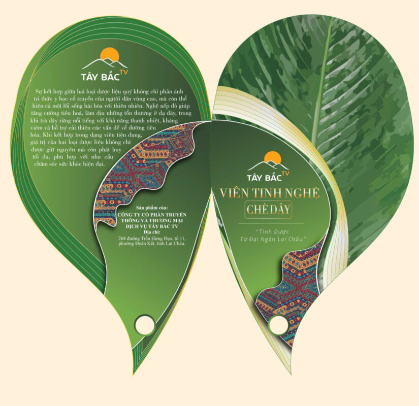 Viên tinh nghệ chè dây Tây Bắc TV