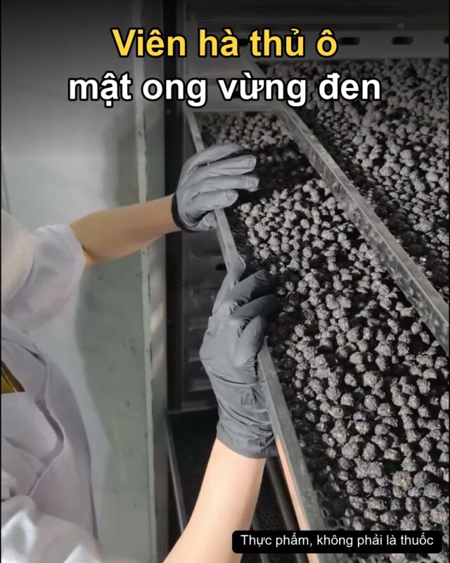 Viên hà thủ ô mật ong vừng đen của Tây Bắc TV